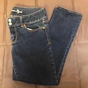 American Eagle Artist Jeans Size 10